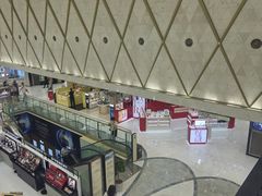 -乐天免税店(明洞店)