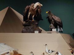 -中国湿地博物馆
