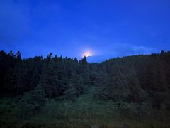 -武陵山森林公园