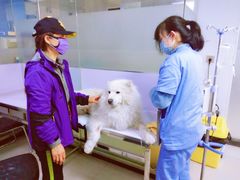 -天时宠物医院24小时疑难病例会诊中心(顾乡大街总院)