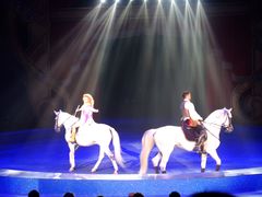 -珠海横琴长隆《卡卡虎奇遇记》