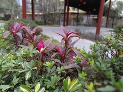 -宏善康享苑颐养中心