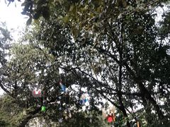 -西湖风景区-江洋畈生态公园