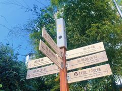 -龙华寺