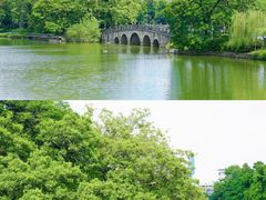 -东山湖公园