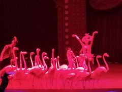 -珠海横琴长隆《卡卡虎奇遇记》