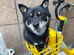 -五福居羊蝎子(方庄店)