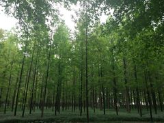 -河南省黄河迎宾馆