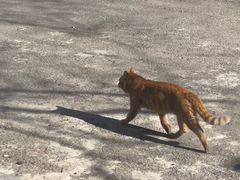 -十一咖啡(青年大街工厂店)