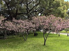 -棕榈岛海鲜自助餐厅(虹桥迎宾馆店)