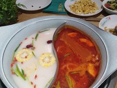 -青瓷火锅料理(西单大悦城店)