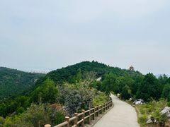 -府君山公园