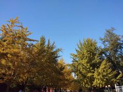 -辽宁大学(崇山校区)