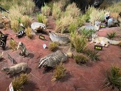 -陕西自然博物馆