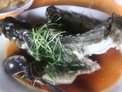 -蚝专家(北滘店)