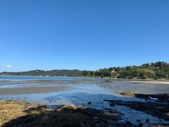 -怀希基岛