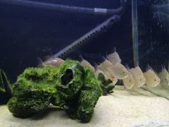 -鄂尔多斯野生动物园