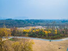 -盘龙城国家考古遗址公园