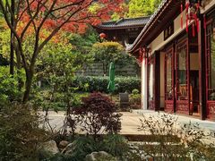 -十八棵（老龙井）御茶园(老龙井店)