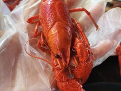 -红钳侠小龙虾·烧烤(中赢康康谷店)