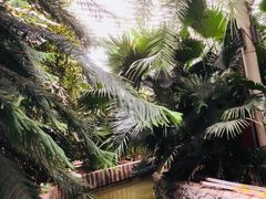 -龙达温泉生态城