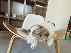 -时间抽屉(裕华万达广场店)