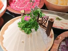 -季季山·云南野生菌火锅(上海首店)