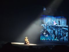 -丽江千古情
