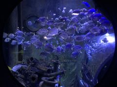 -成都浩海立方海洋公园