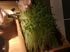 -大头椰·椰子鸡火锅(桂林万象城店)
