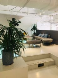 -I+造型烫发染发