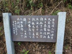 -羚羊峡古栈道森林公园