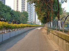 -成都市活水公园