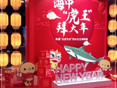 -上海海洋水族馆