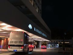 -新加坡文华东方酒店