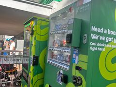 -圣淘沙天际线斜坡滑车