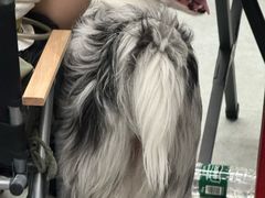 -绿壁虎攀岩基地(Tcar店)