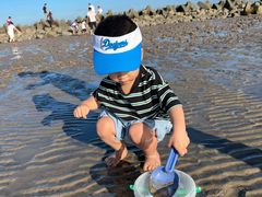 -南汇嘴观海公园