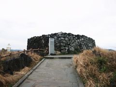 -涉地可支