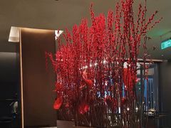 -拾久(朝阳公园店)