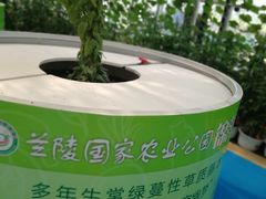 -兰陵国家农业公园