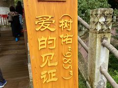 -新安江山水画廊风景区