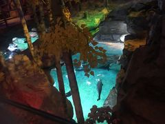 -华夏文旅海洋公园