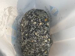 -耳朵眼炸糕(鼓楼店)
