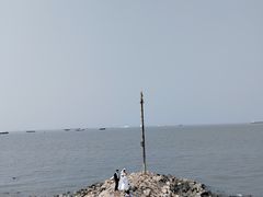 -上海滨江森林公园