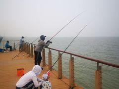 -东疆建设开发纪念公园