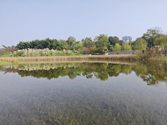-眉山湿地公园(东坡区)