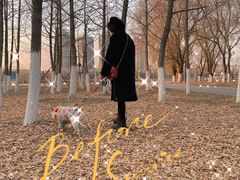 -长白岛森林公园