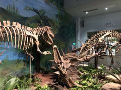 -自贡恐龙博物馆