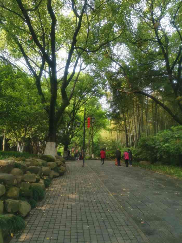 临平公园-"之前听说临平山有彩虹桥,虽然应该是晚上看.